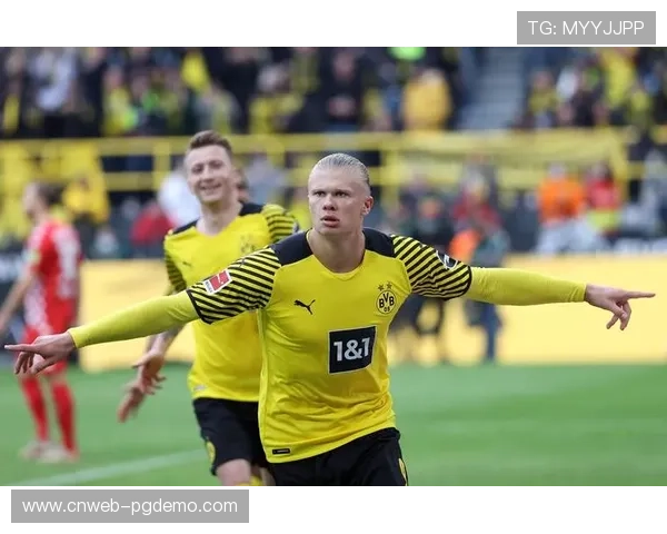 德甲转播权市场分析：联赛商业价值与全球影响力持续提升